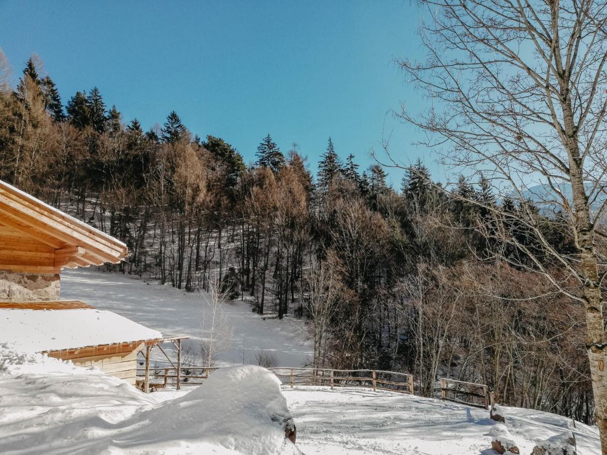 Odomi Maso Nel Bosco Villa Sant'Orsola Exterior photo