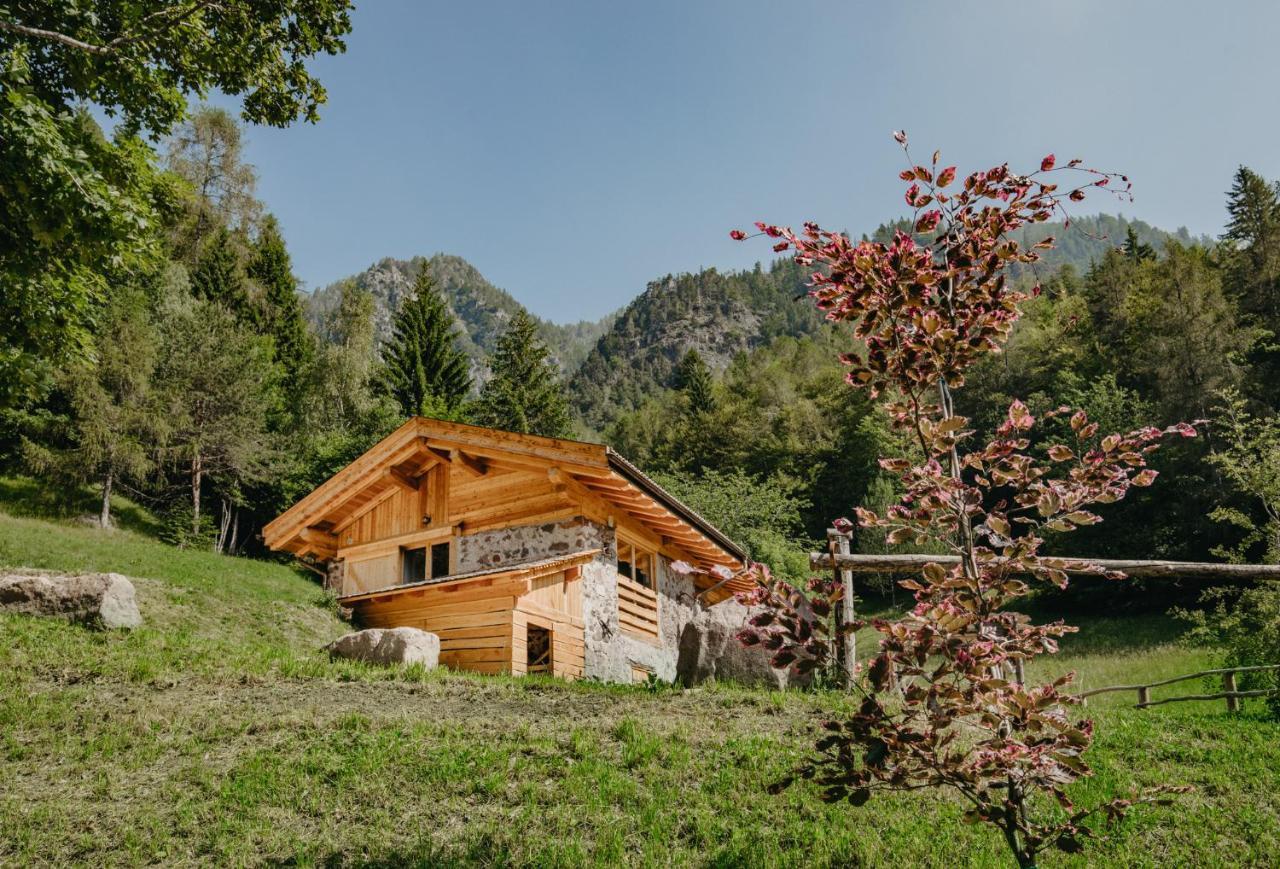 Odomi Maso Nel Bosco Villa Sant'Orsola Exterior photo